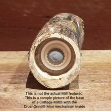 Mini 18 cm / 7-in Ash Cottage Mills® set with CrushGrind® Mini inside