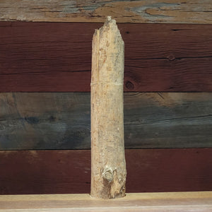 Beaver Chewed 28 cm / 11-in Poplar Cottage Mill® with CrushGrind®